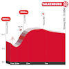 Amstel Gold Race 2025: finale - source: www.amstel.nl