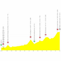 Critérium du Dauphiné 2025, stage 8: profile