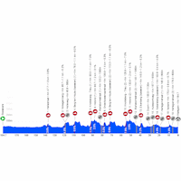 Dwars door Vlaanderen 2026: profile tracker