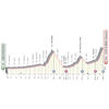 Giro d'Italia 2021: profile 19th stage - source: www.giroditalia.it