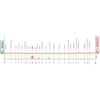 Giro d'Italia Women 2025: profile stage 5 - source: www.giroditaliawomen.it
