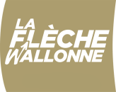 La Flèche Wallonne 2020