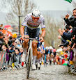 Mathieu van der Poel rvv - Tour of Flanders: Winners and records