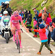 Tadej Pogacar giro - Giro 2024: Riders