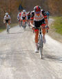 Strade Bianche: Winners and records