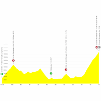 Tour de France Femmes 2025, stage 8: profile