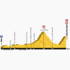 Tour de France 2014 Profile stage 18: Pau - Hautacam