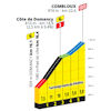 Tour de France 2023, stage 16: Côte de Domancy - source:letour.fr