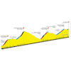 Tour de France 2024, stage 11: finale - source:letour.fr