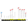 Tour de France 2024: profile stage 2 - source:letour.fr