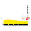 Tour de France 2024, stage 2: profile, finale - source:letour.fr