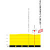 Tour de France 2024, stage 7: profile, finale - source:letour.fr