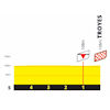 Tour de France 2024, stage 9: profile, finale - source:letour.fr