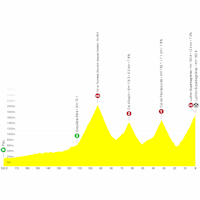 Tour de France 2025, stage 14: profile