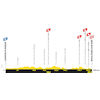 Tour de France 2025, stage 2: profile - source:letour.fr