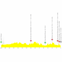 Tour de France 2025, stage 2: profile