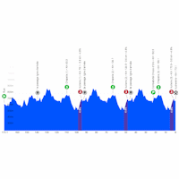 Tour de Romandie 2026, stage 2: profile