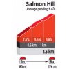World Cycling Championships 2017 Bergen, Norway: Profile climb Ulriken/Salmon Hill - source: bergen2017.no