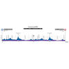 World Cycling Championships 2022: profile mixed relay - source: wollongong2022.com.au